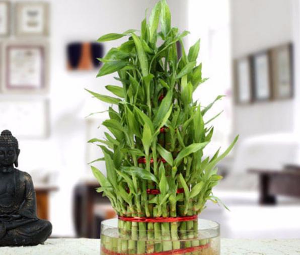 Ruang Dapur Sederhana